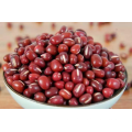 Small Red Beans Dry